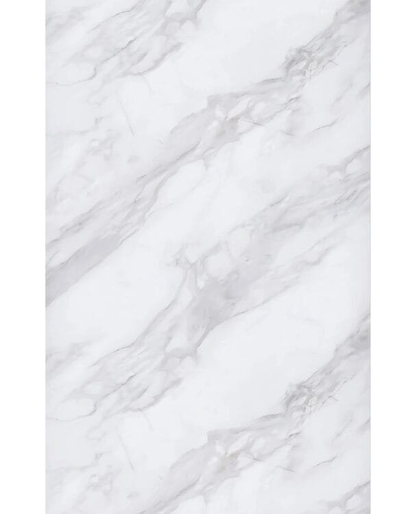 PVC wandpaneel Raw Concrete R208 betonlook industrieel naadloos badkamer